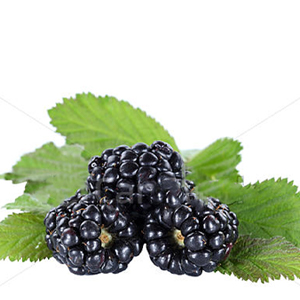 BLACKBERRY e juice flavour