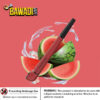 WATERMELON ICE -E MEDWAKH POD