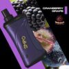 SMPO DL02 DISPOSABLE 10,000 PUFFS MTL/DL - CRANBERRY GRAPE