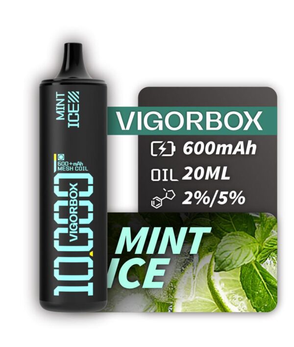 VIGORBOX DISPOSABLE 10K PUFFS - MINT ICE