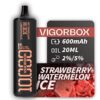 VIGORBOX DISPOSABLE 10K PUFFS - STRAWBERRY WATERMELON ICE