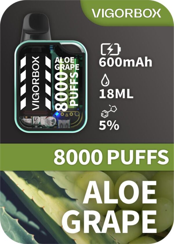 VIGORBOX DISPOSABLE 8000 PUFFS - ALOE GRAPE