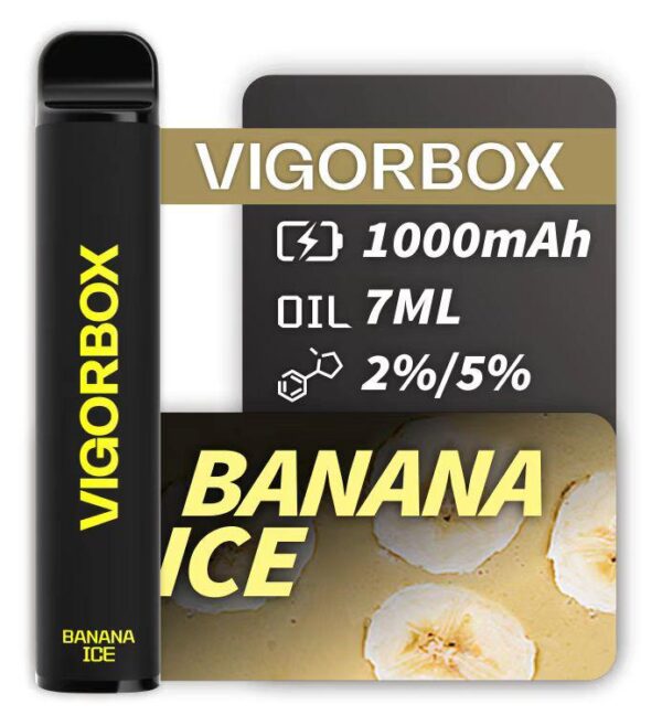 VIGORBOX 2500 PUFFS - BANANA ICE