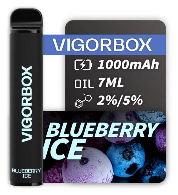 VIGORBOX 2500 PUFFS - BLUEBERRY ICE