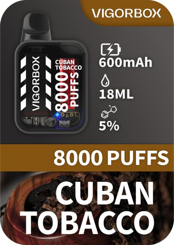 VIGORBOX DISPOSABLE 8000 PUFFS - CUBAN TOBACCO