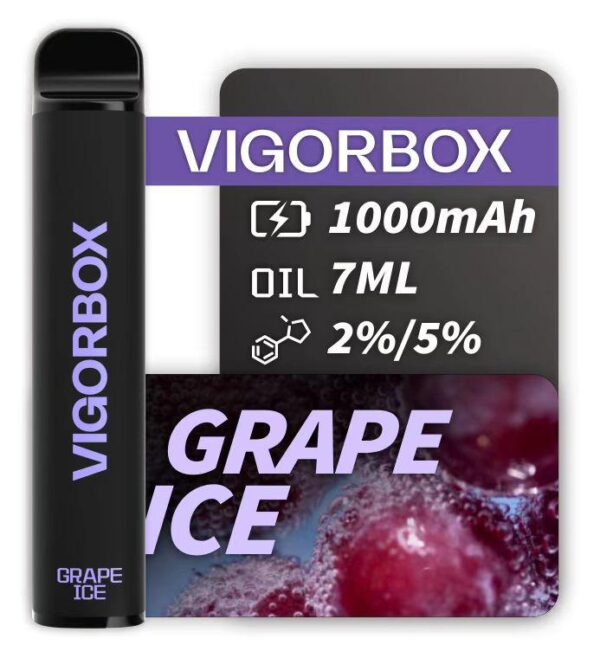 VIGORBOX 2500 PUFFS - GRAPE ICE