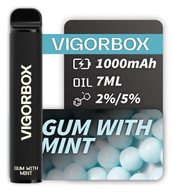 VIGORBOX 2500 PUFFS - GUM WITH MINT