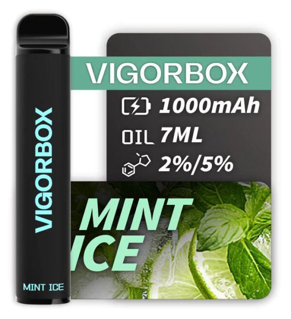 VIGORBOX 2500 PUFFS - MINT ICE