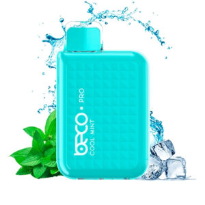 BECO PRO COOL MINT 6000 Puffs DISPOSABLE VAPE DUBAI