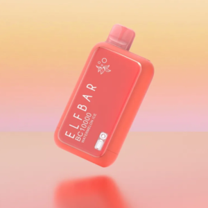 Watermelon Ice BC10000 - ELFBAR BC10000 Dubai